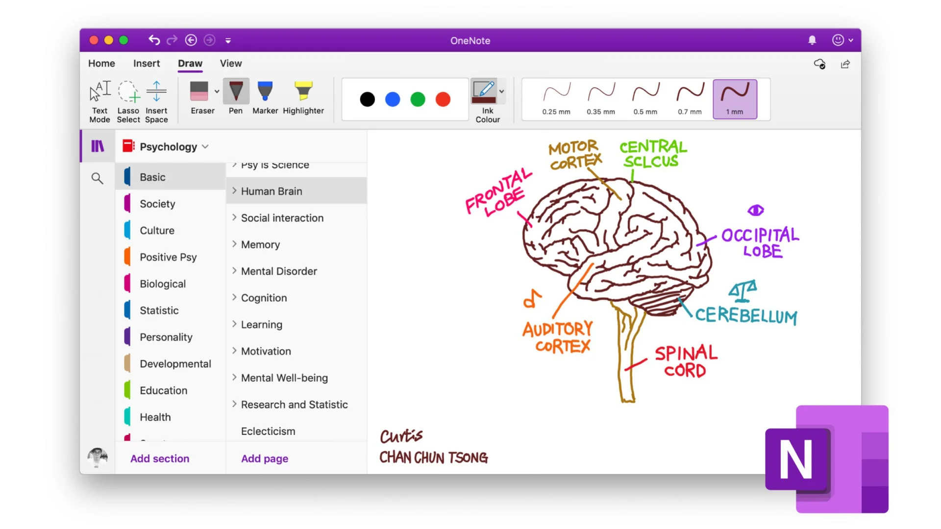 Como usar o OneNote para organização pessoal de forma eficiente